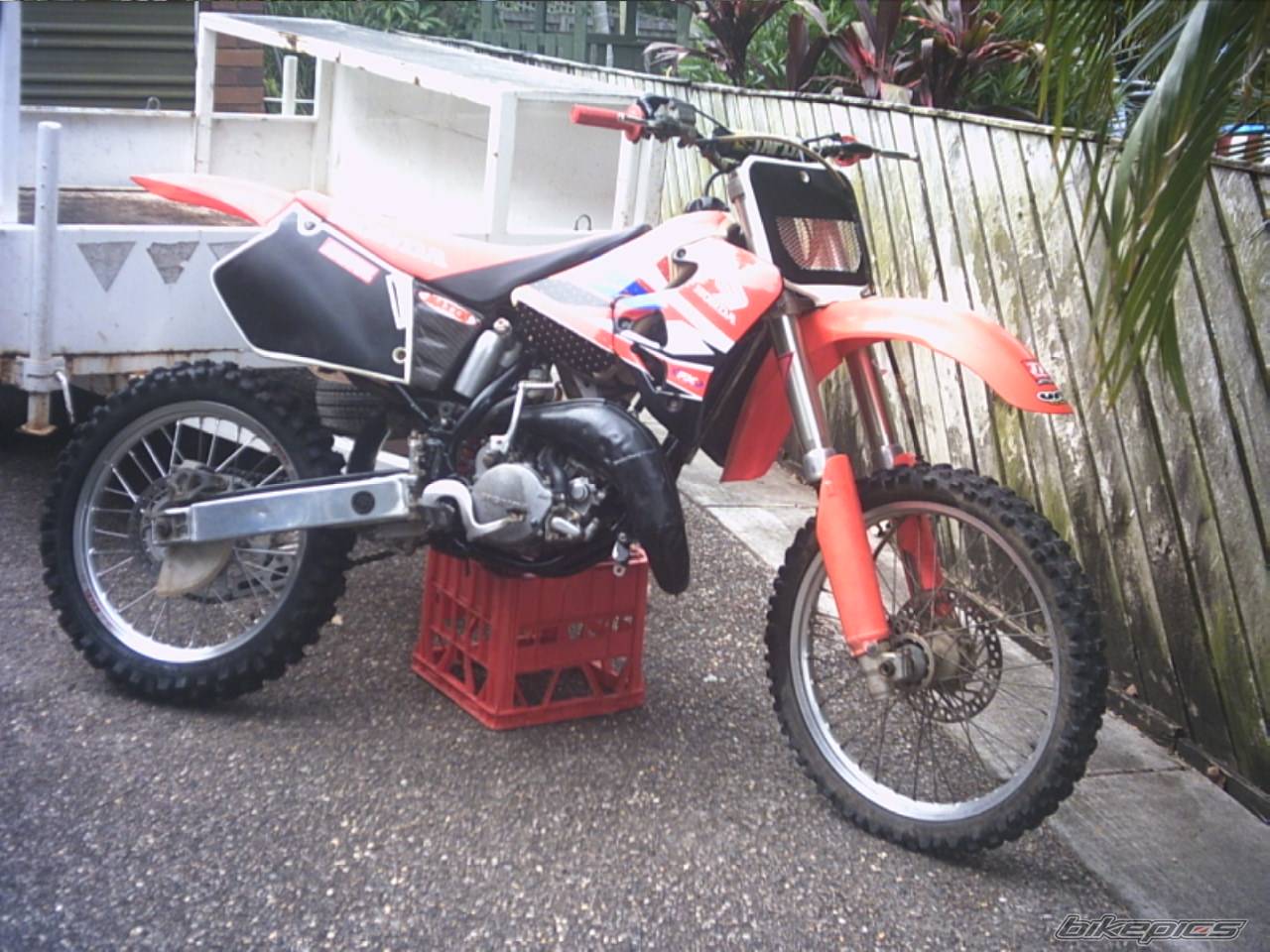 Photo 482264