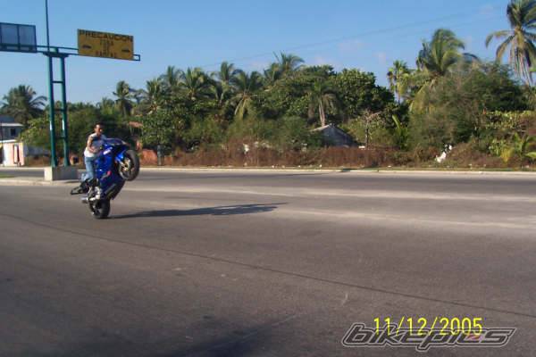 Photo 482467