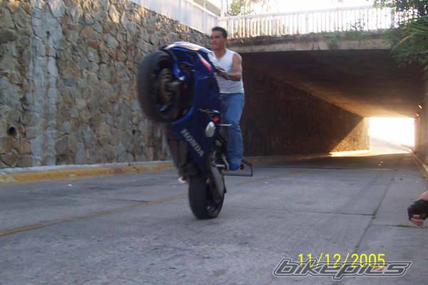 Photo 482468