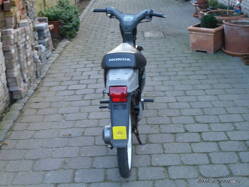Photo 482469
