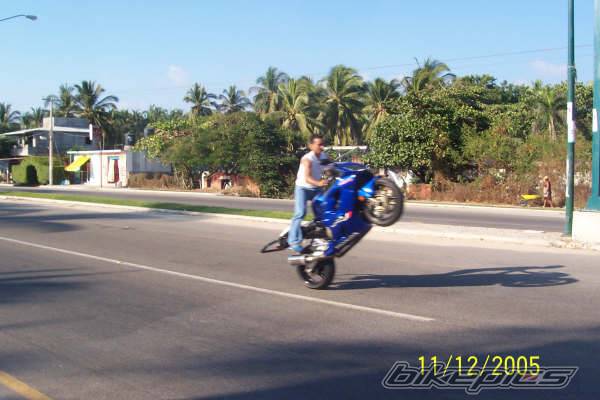 Photo 482471