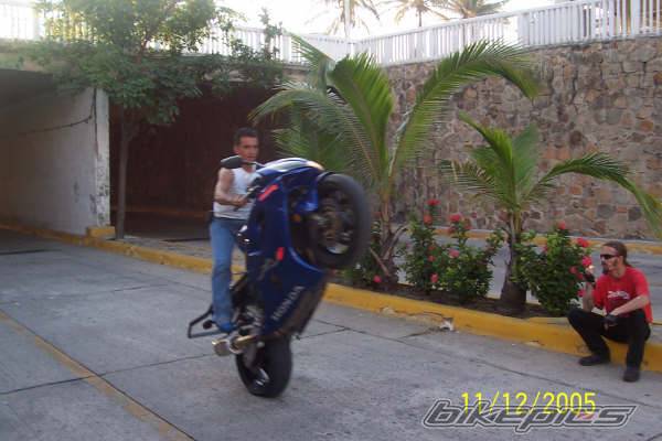 Photo 482472