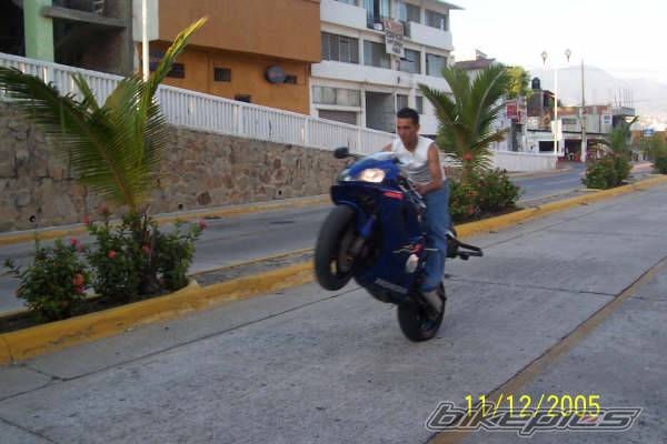 Photo 482473