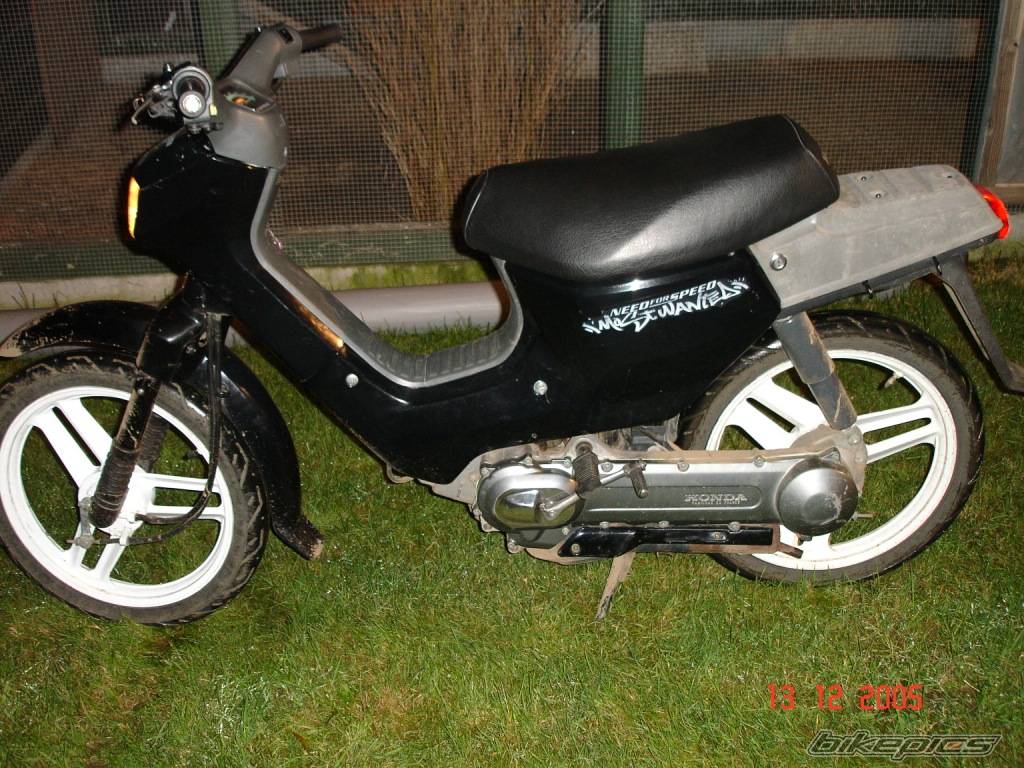 Photo 482489