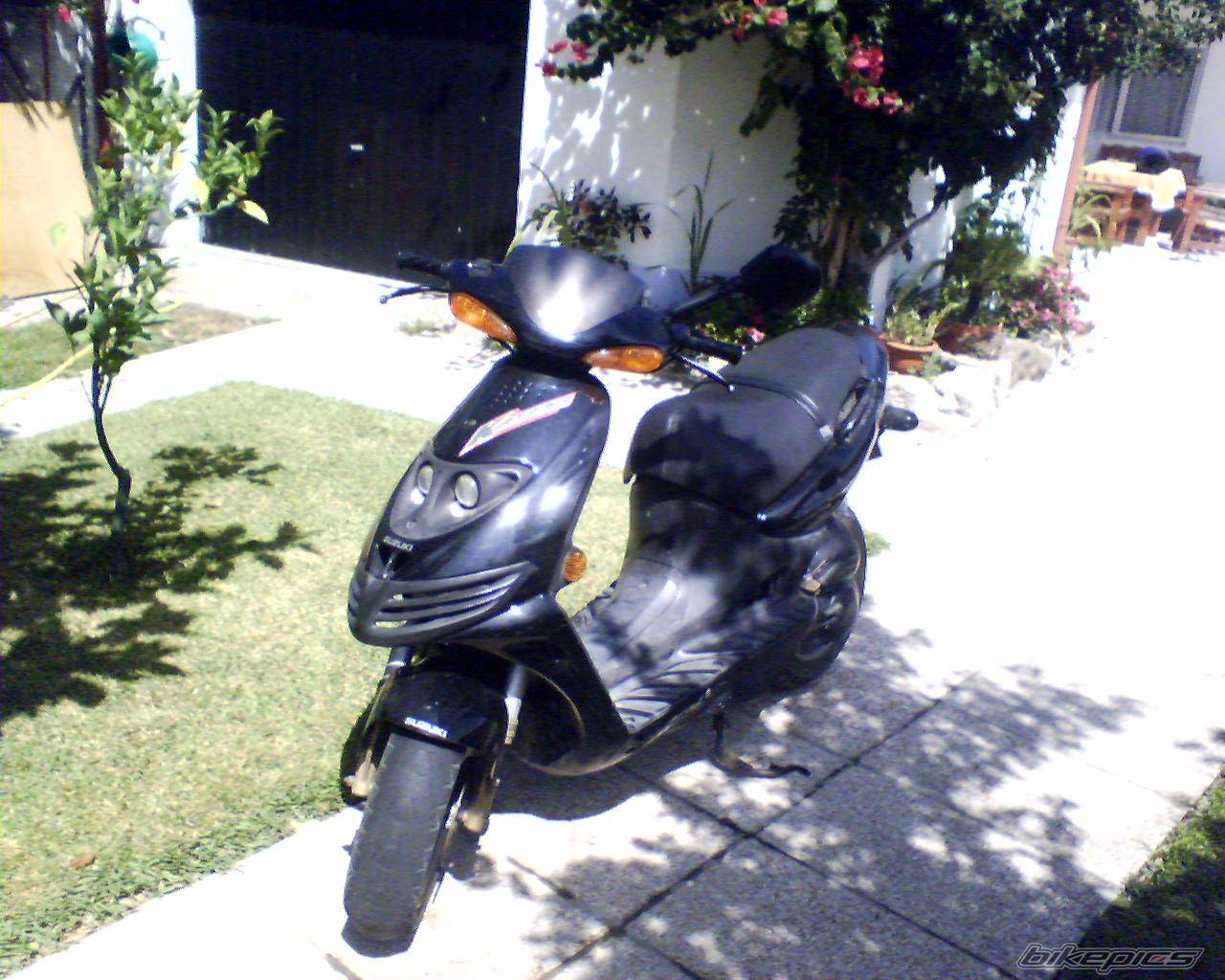 Photo 482534