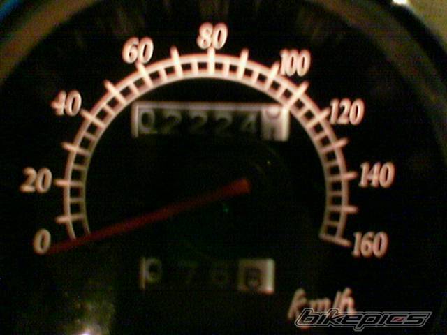 Photo 482561