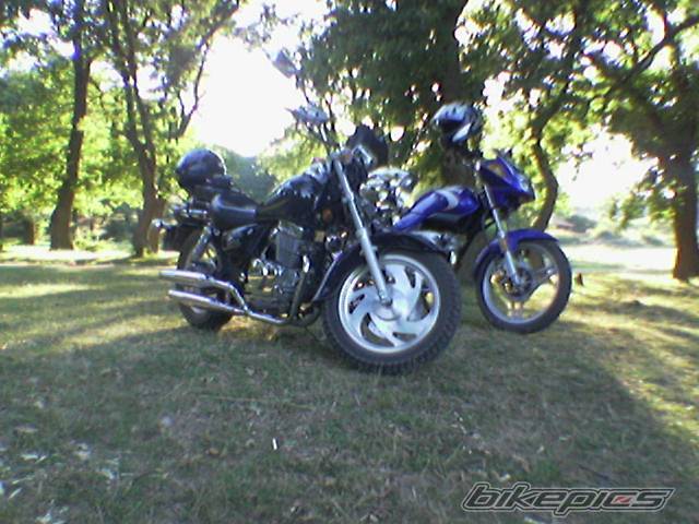 Photo 482563