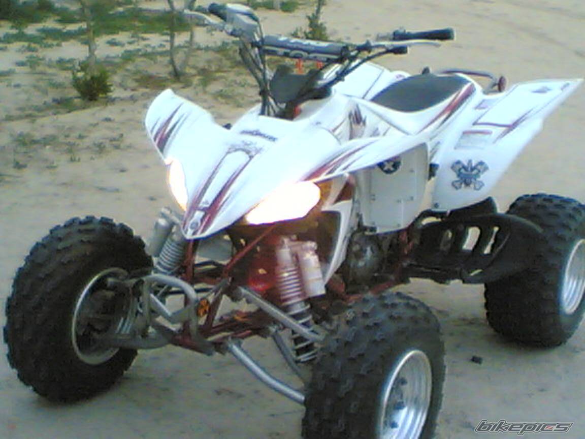 Photo 482657