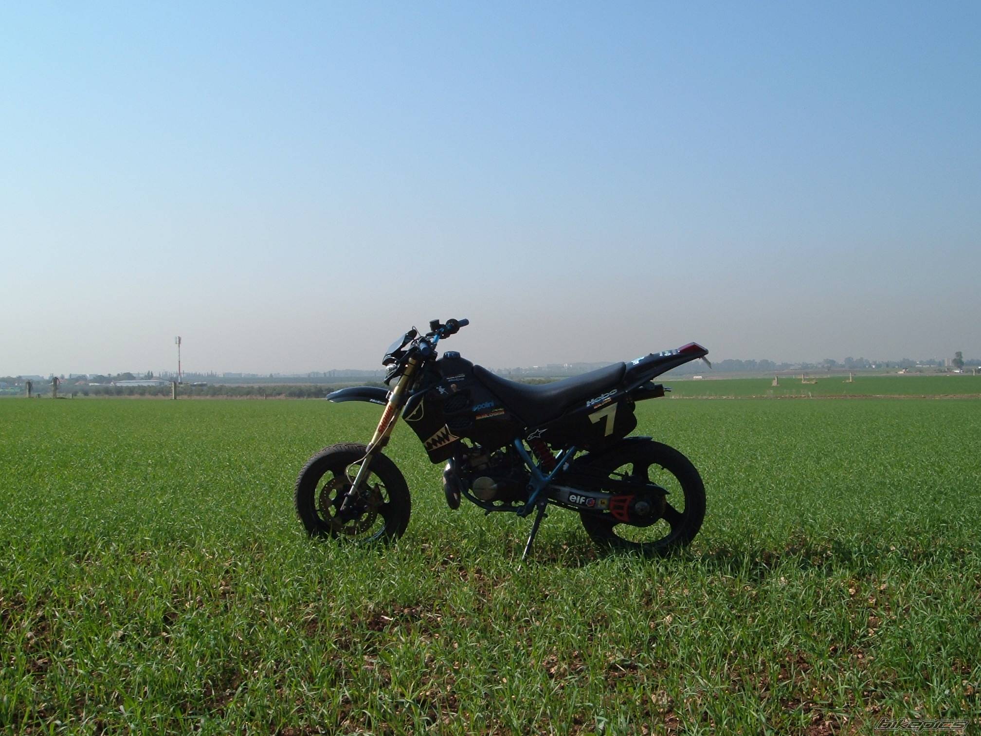 Photo 482726