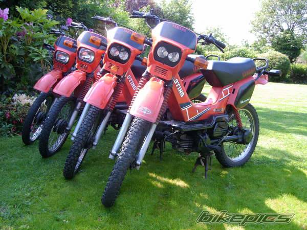 Photo 482740