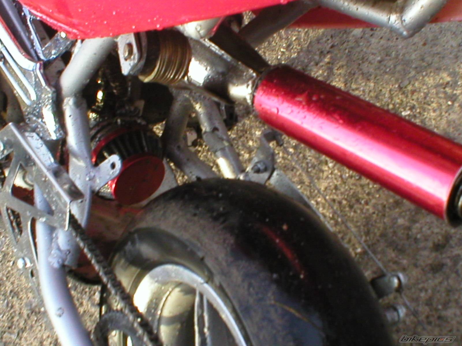 Photo 482839