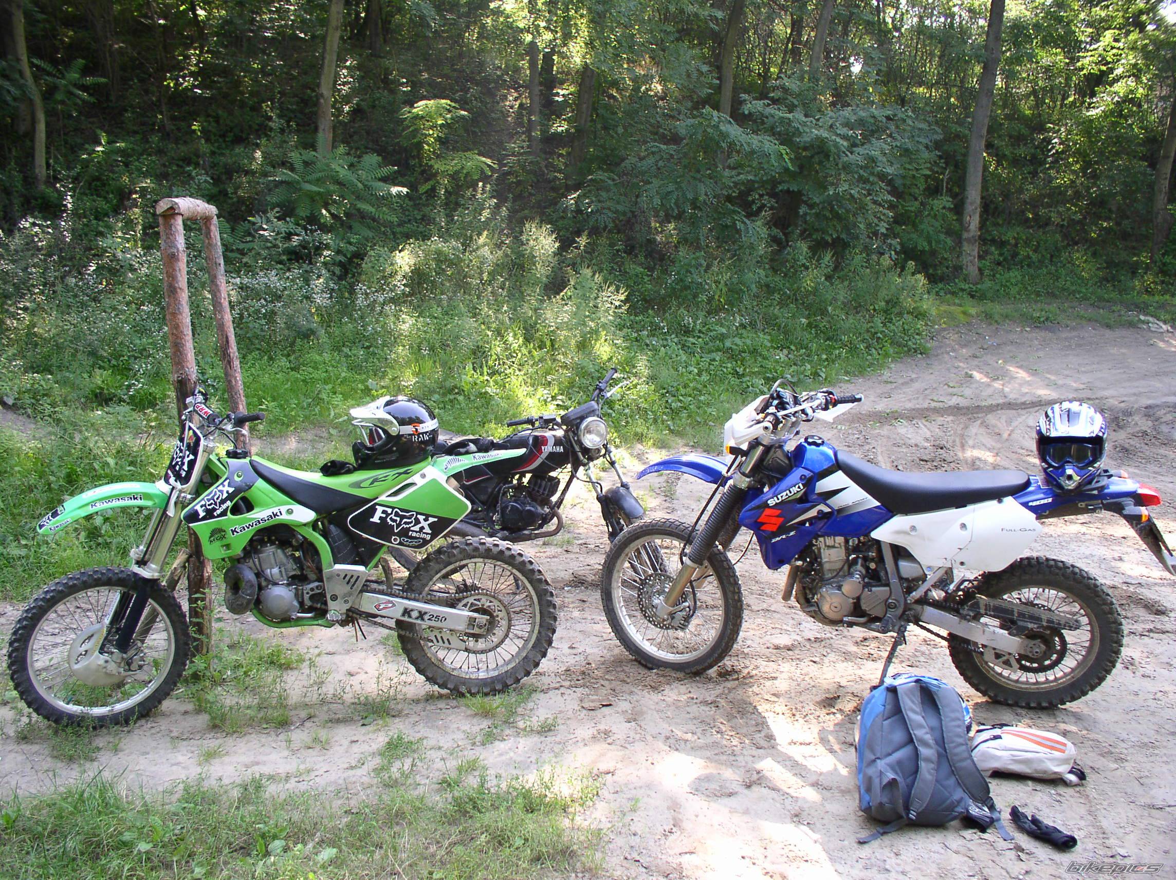 Photo 482942