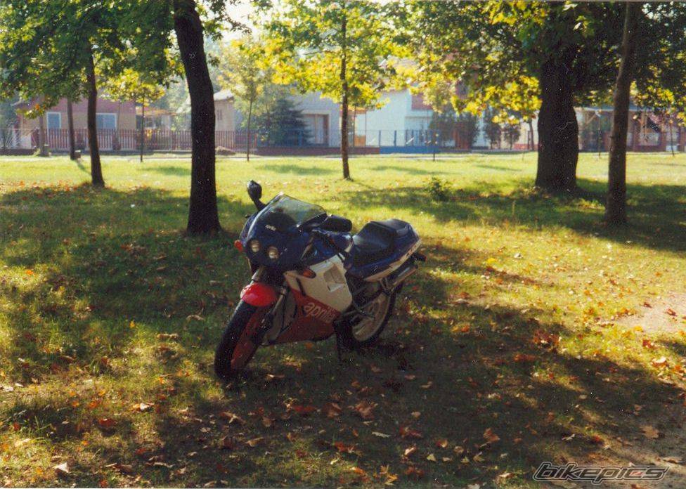 Photo 482979