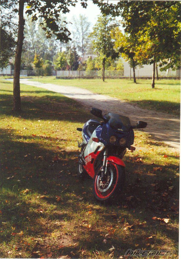Photo 482981