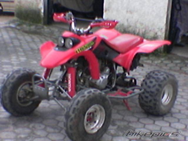 Photo 483461