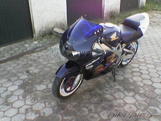 Photo 483464