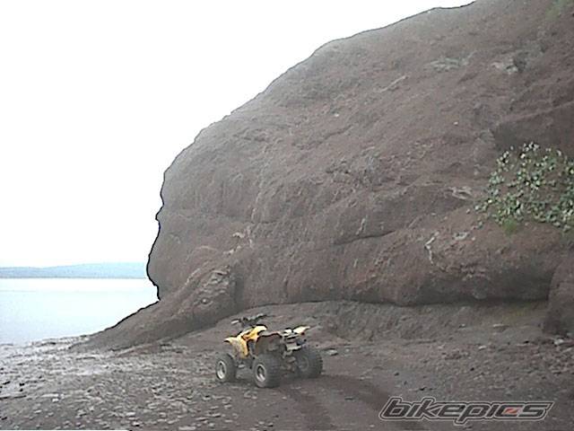 Photo 48361