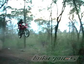 Photo 48384