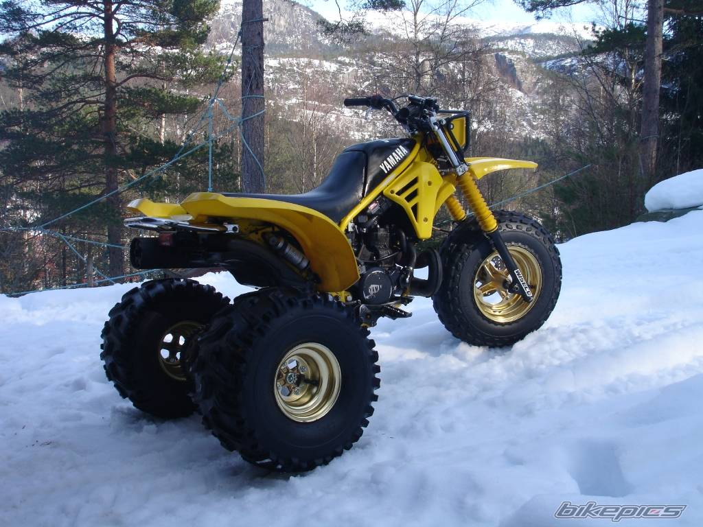 Photo 483877