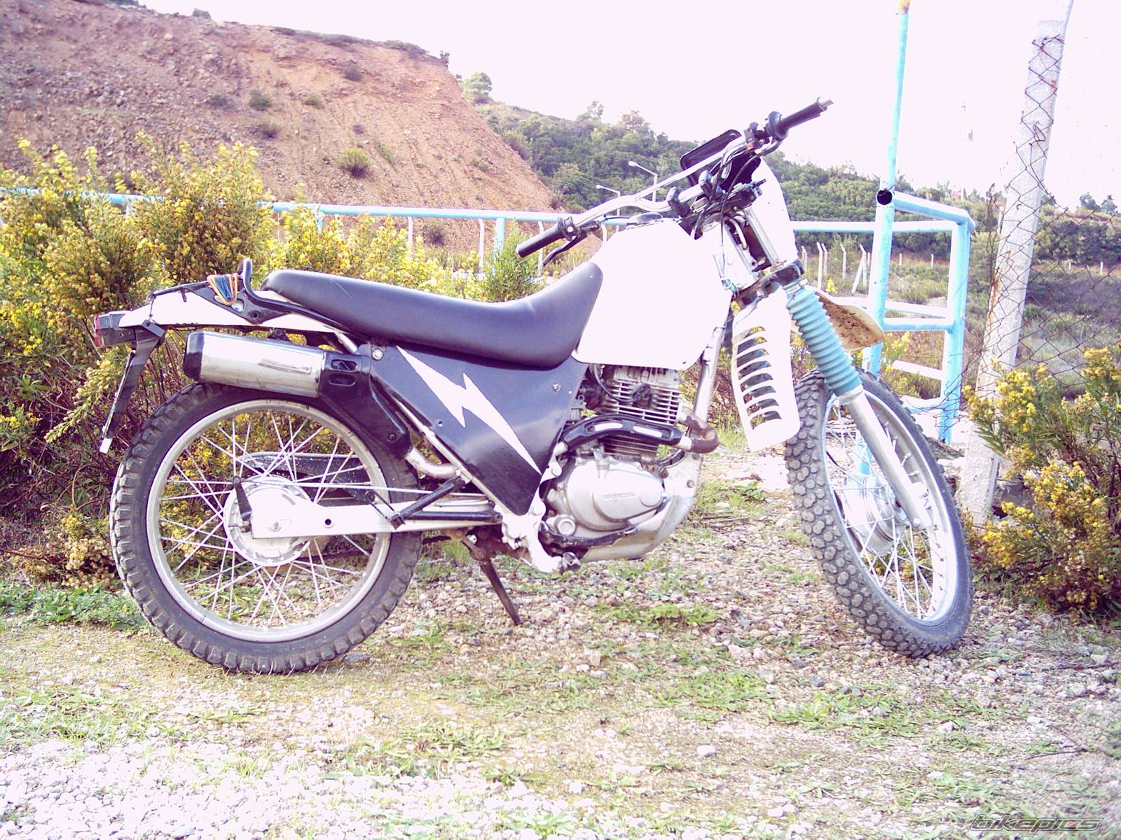 Photo 483992