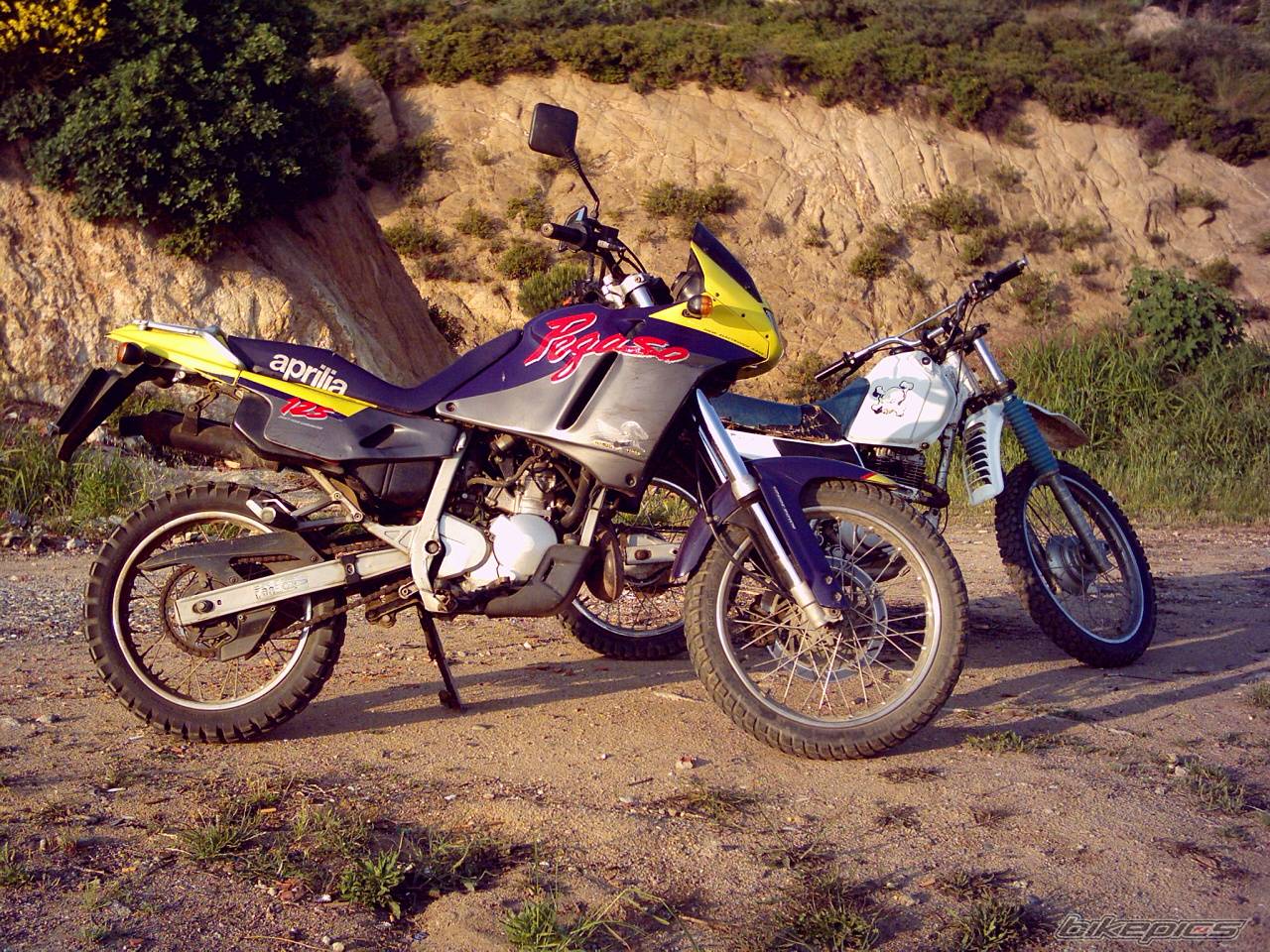 Bike Photo 483999