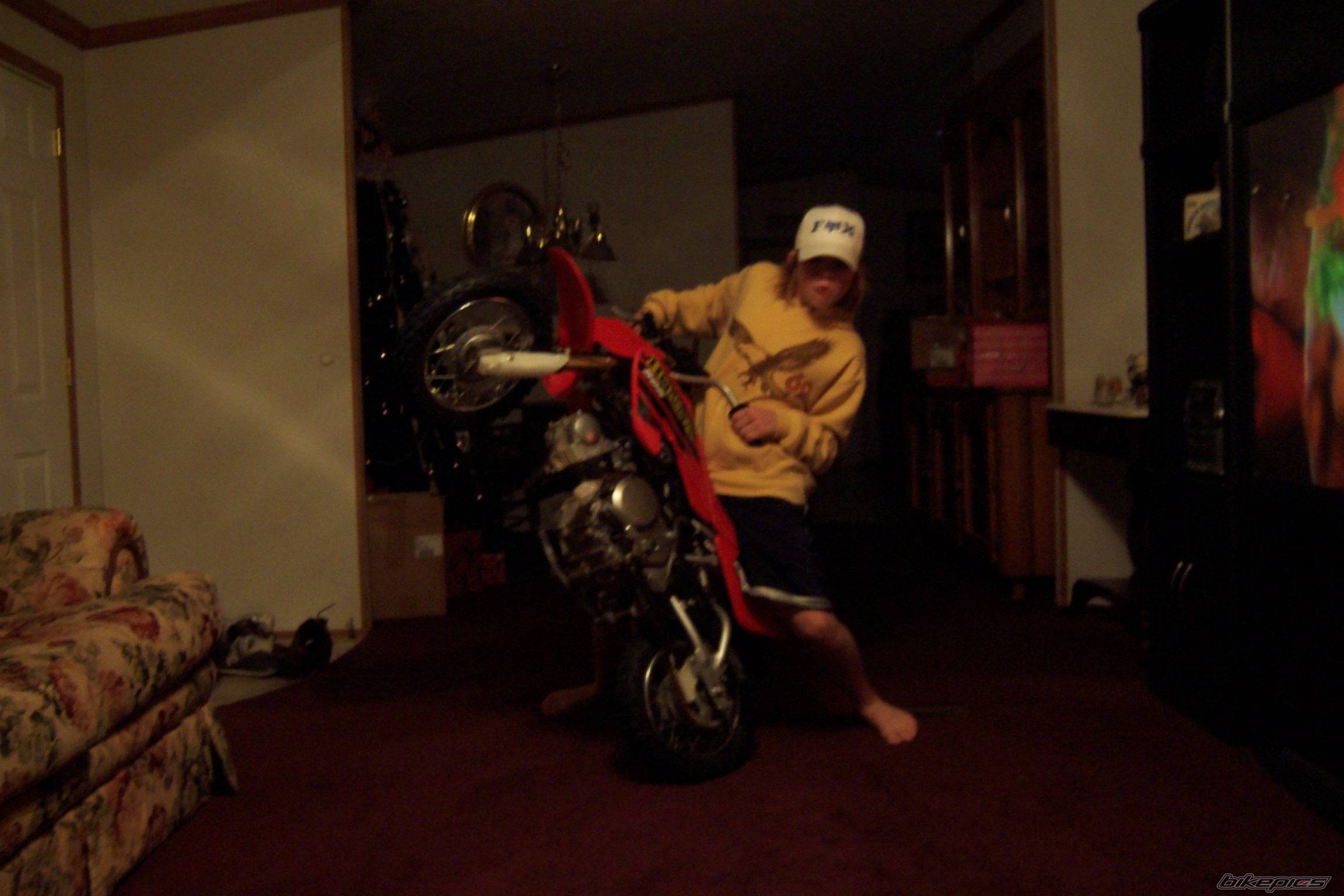 Photo 484134