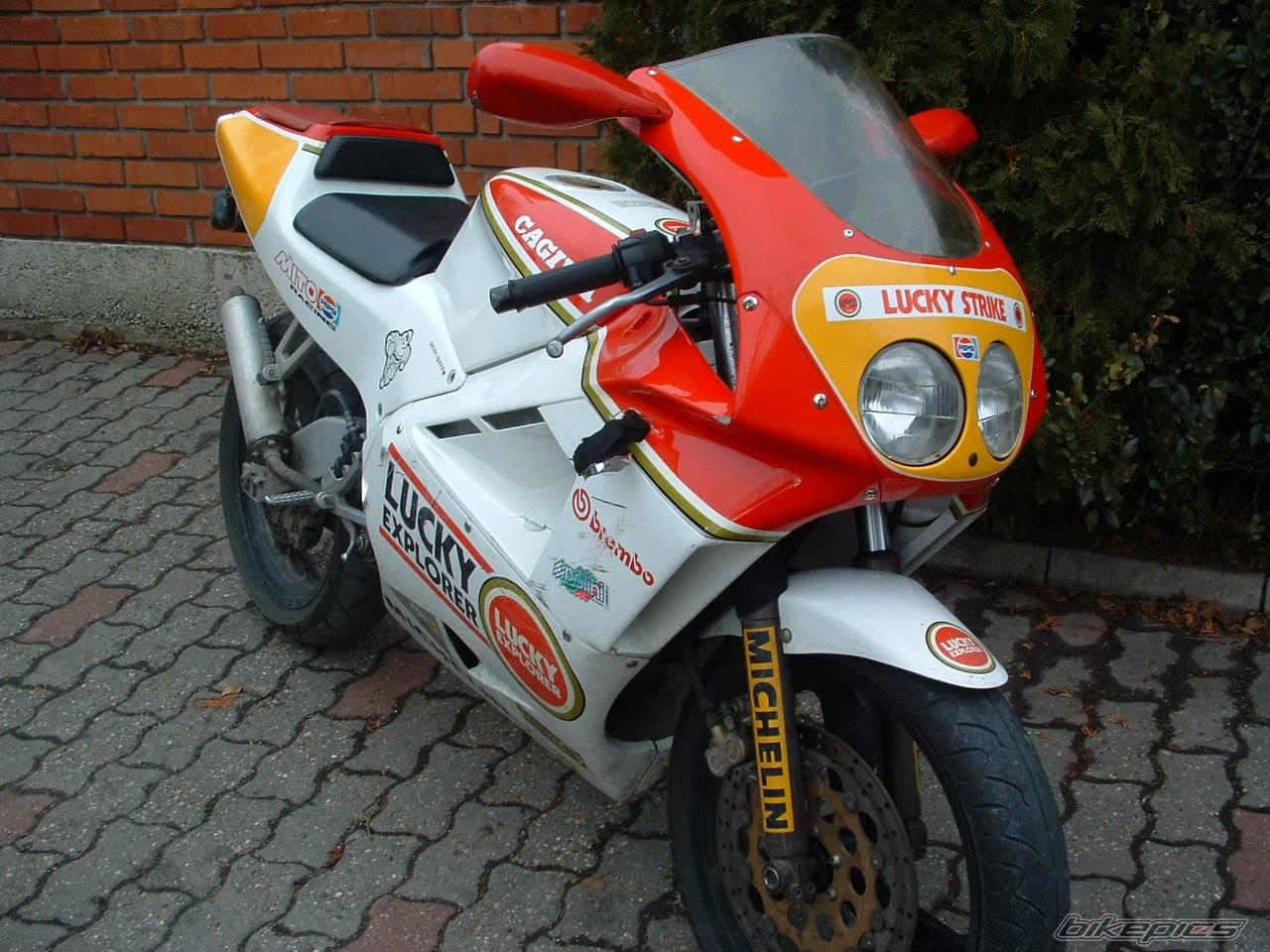 Bike Photo 484346