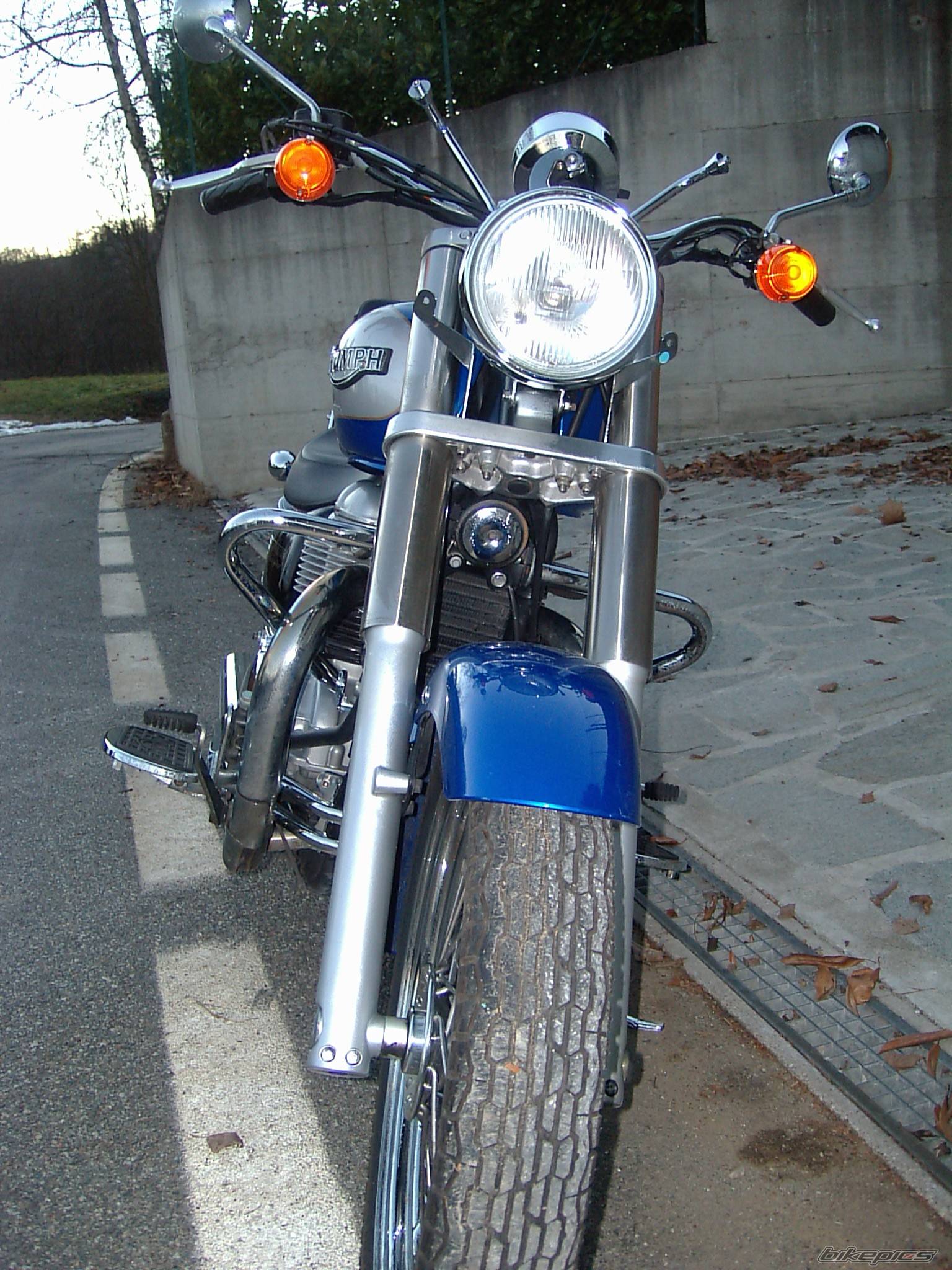 Photo 484361