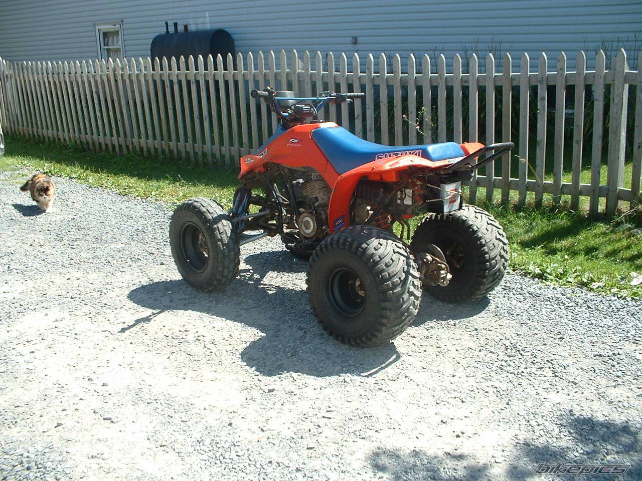 Photo 484365