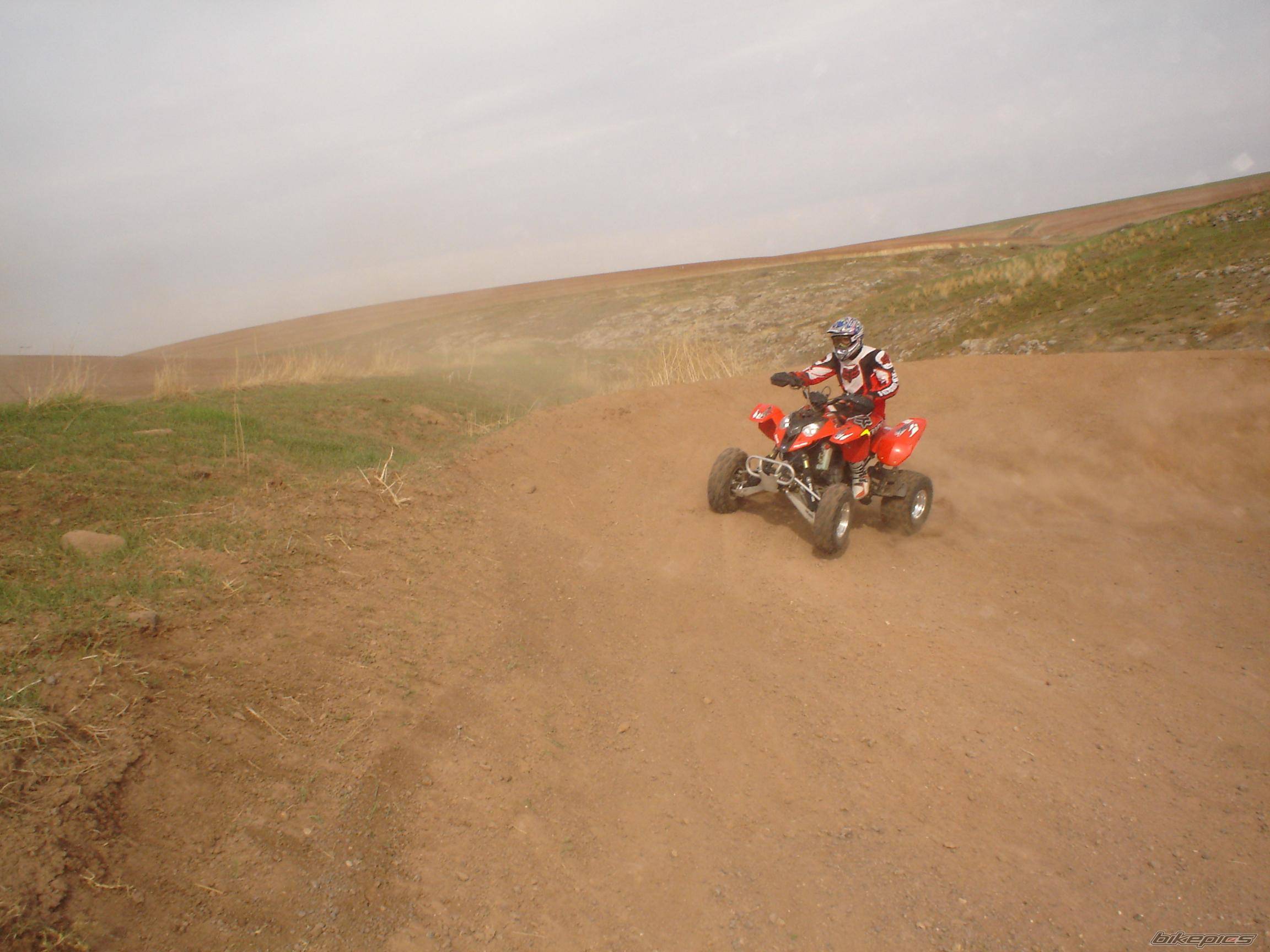 Photo 484484