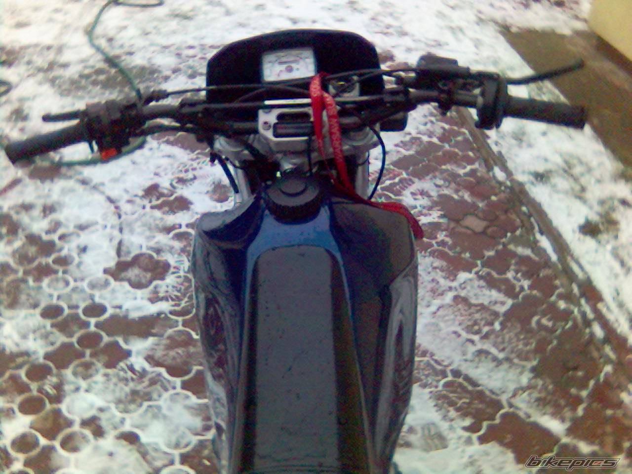 Photo 484540
