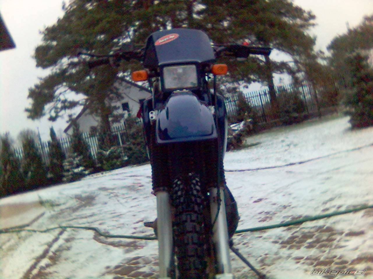 Photo 484541