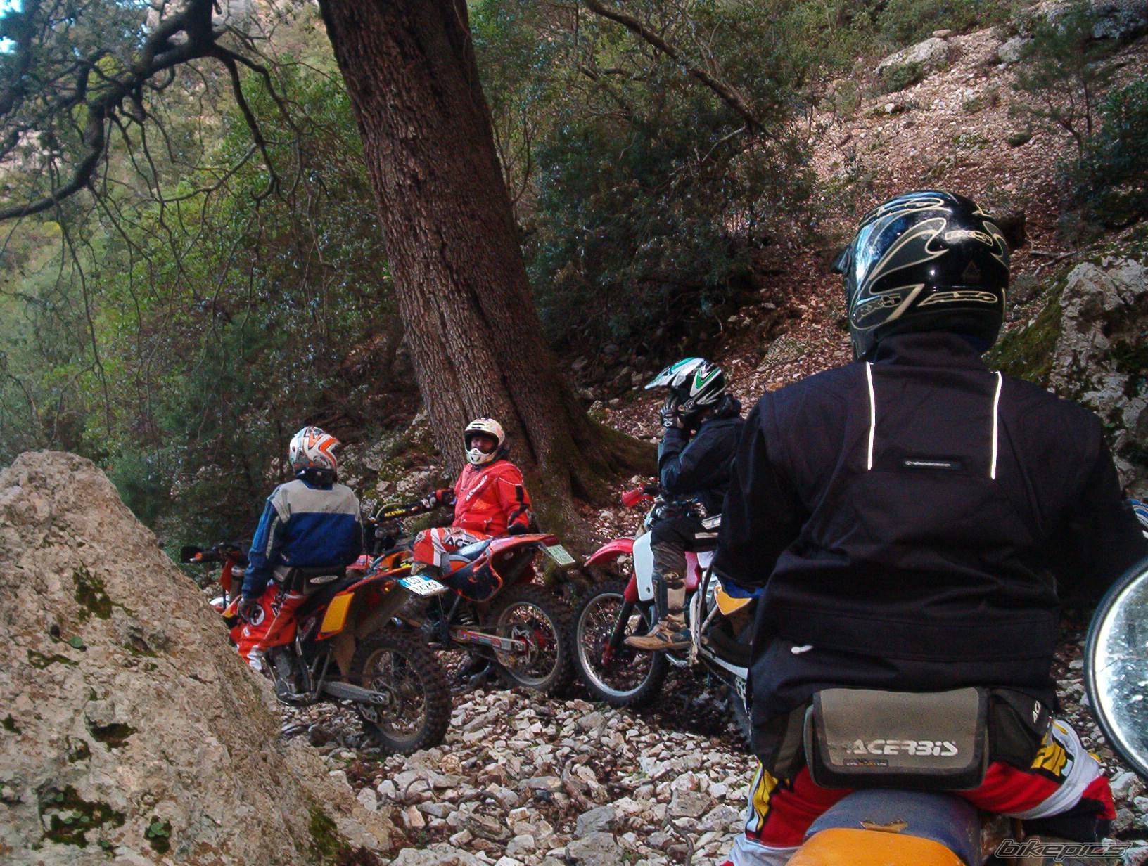 Bike Photo 484687
