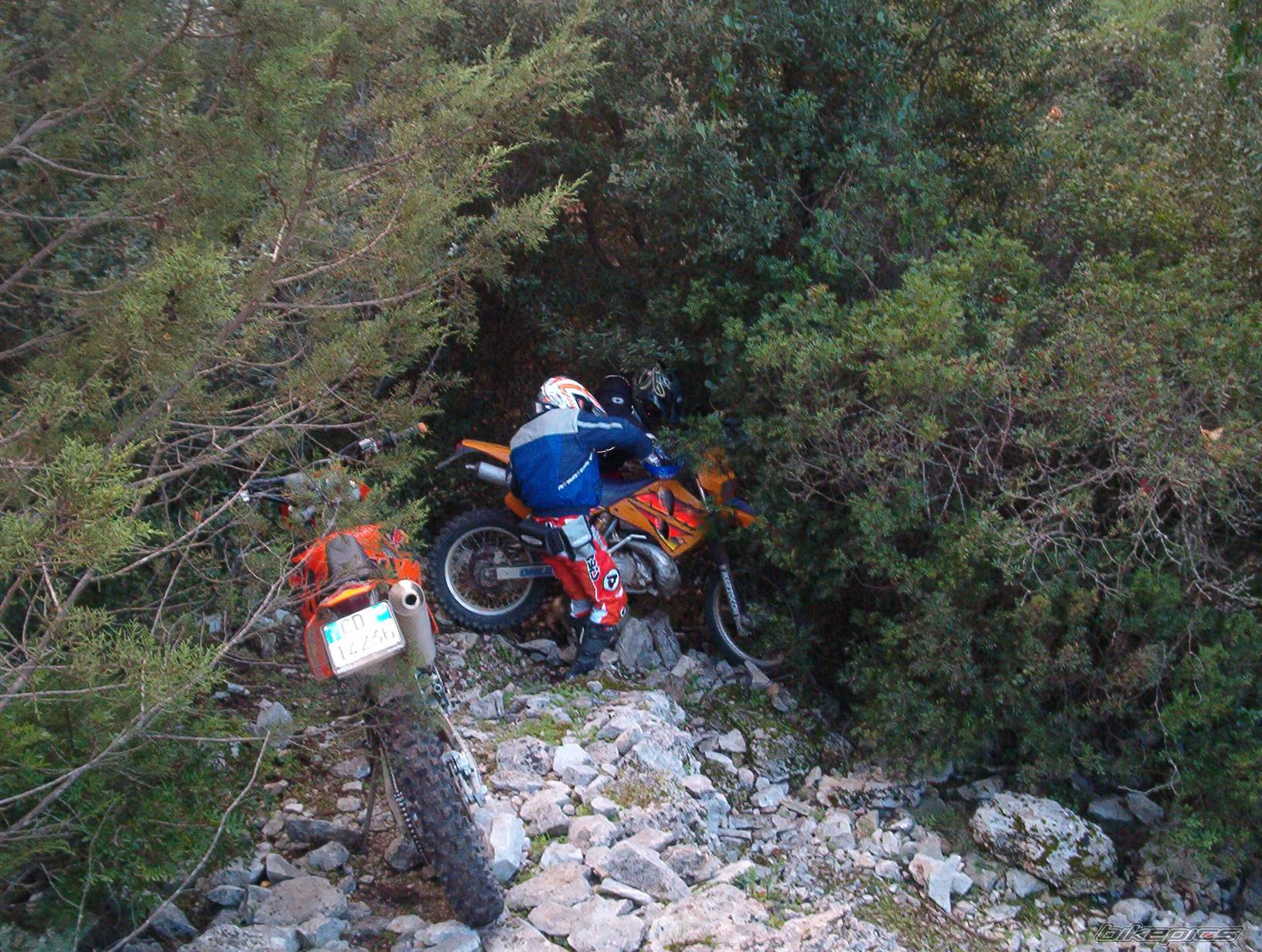 Bike Photo 484690