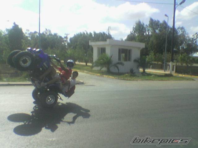 Photo 484774
