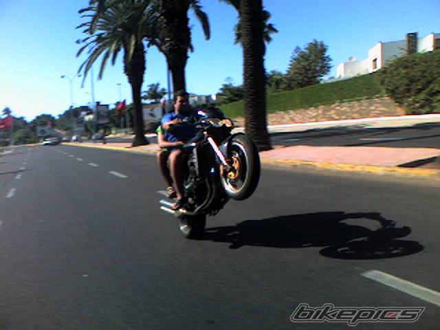 Photo 484780