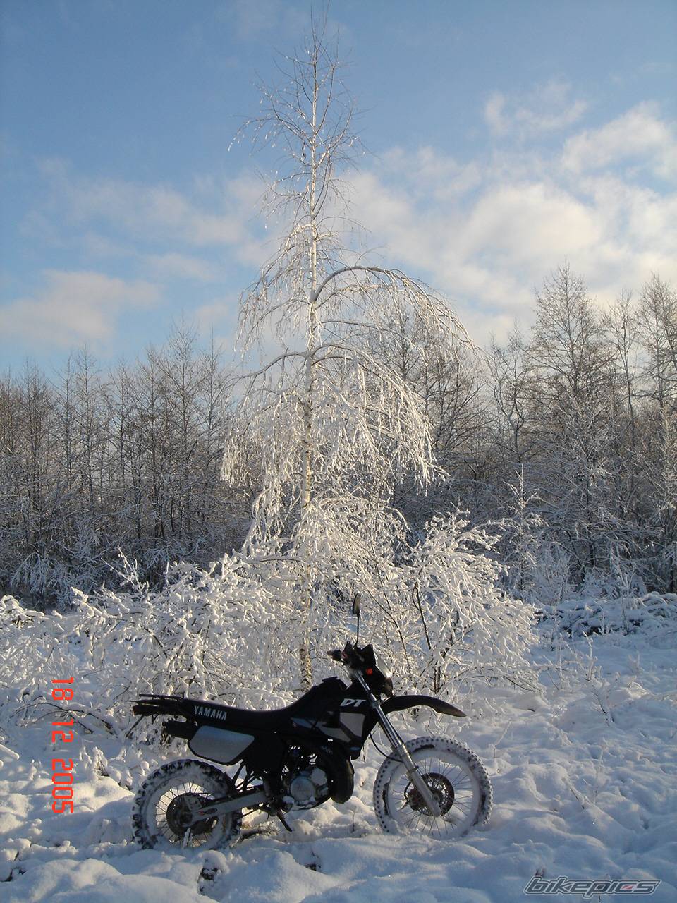 Bike Photo 484941