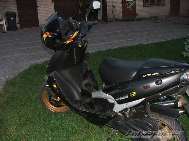 Photo 485519