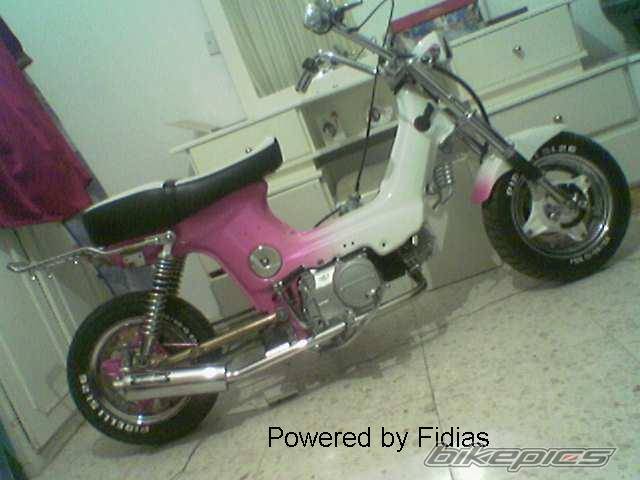 Photo 485944