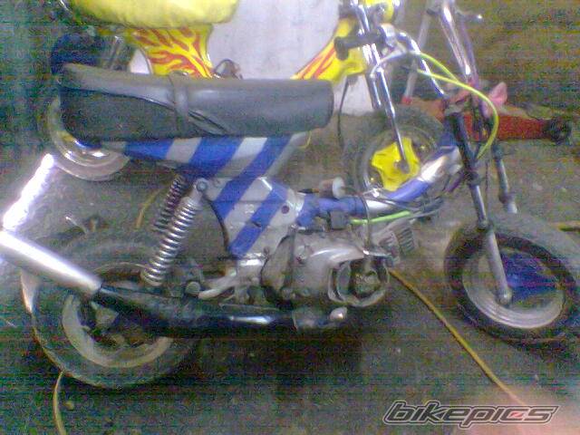 Photo 485959