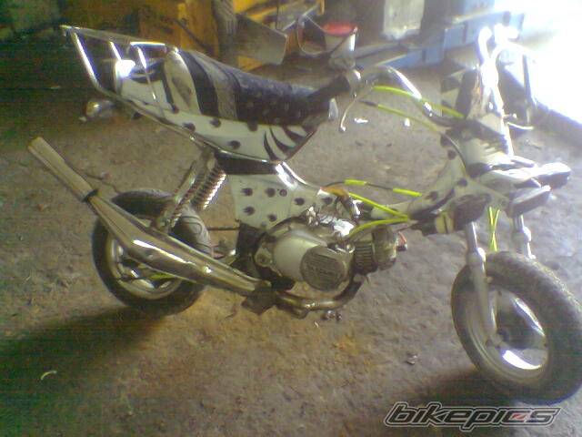 Photo 485979