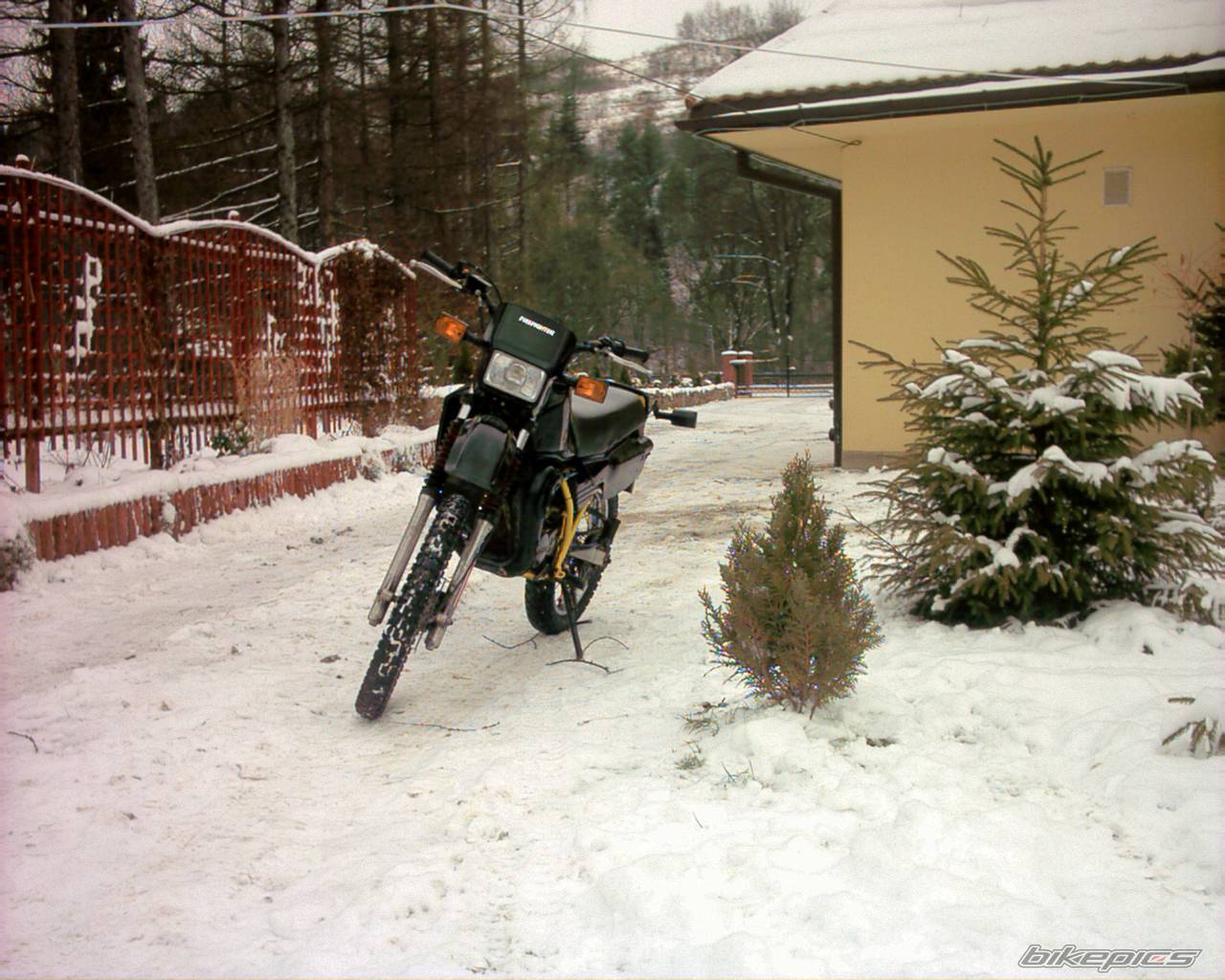 Bike Photo 486009