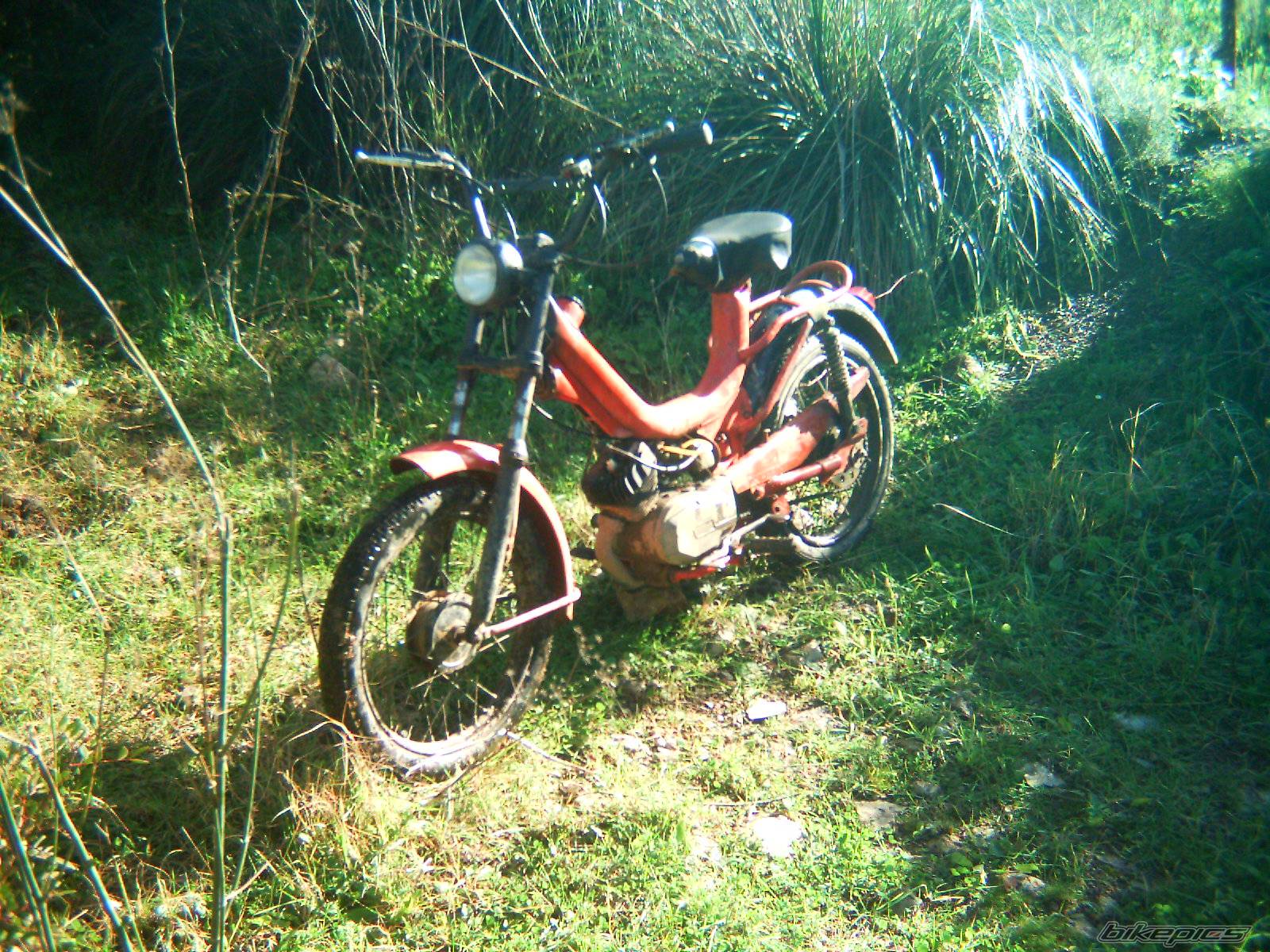 Bike Photo 486116