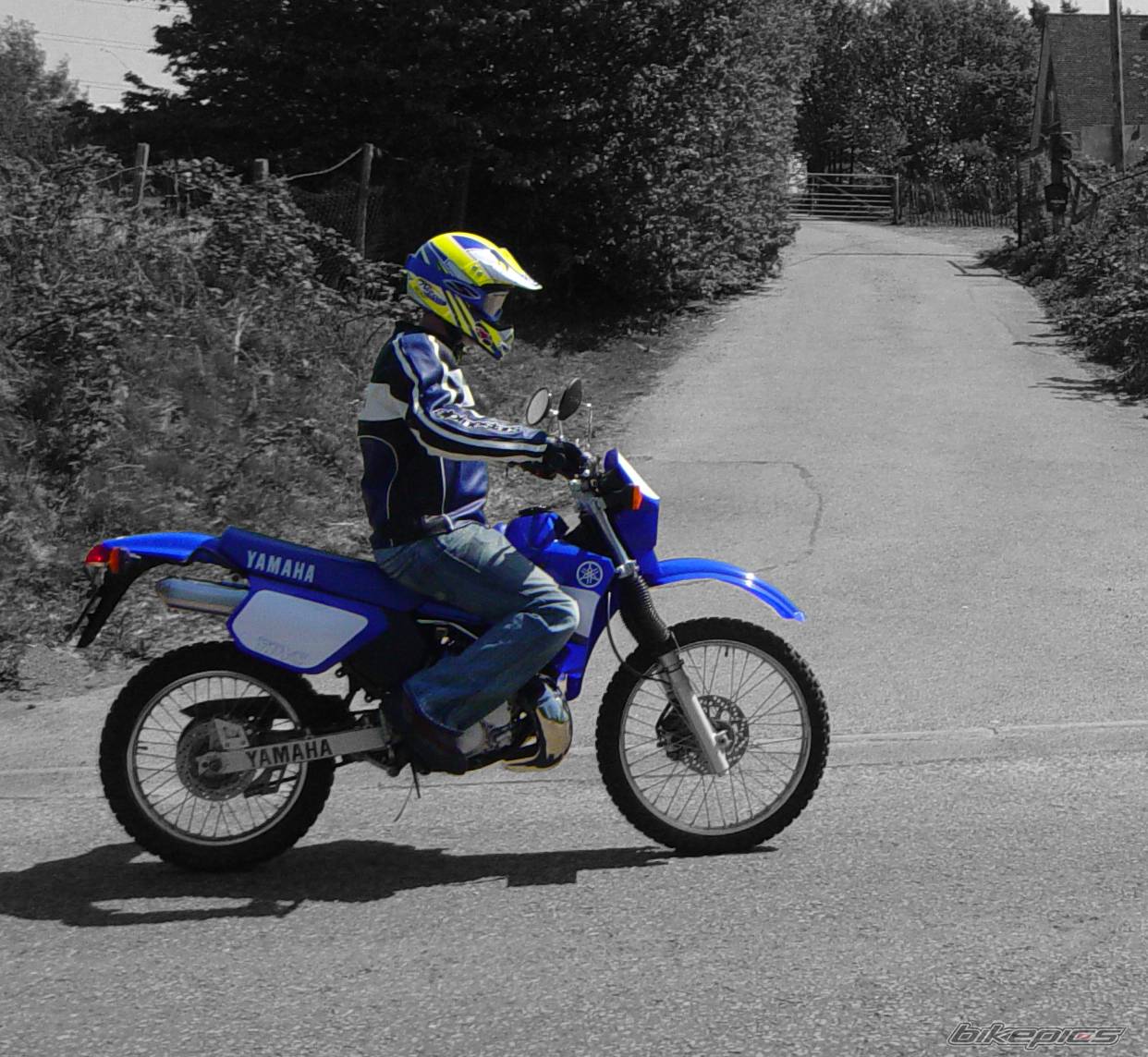 Bike Photo 48613