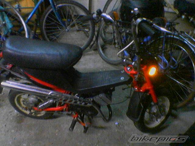 Photo 486160