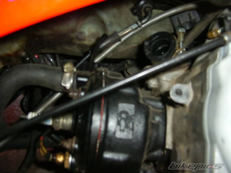Photo 486182