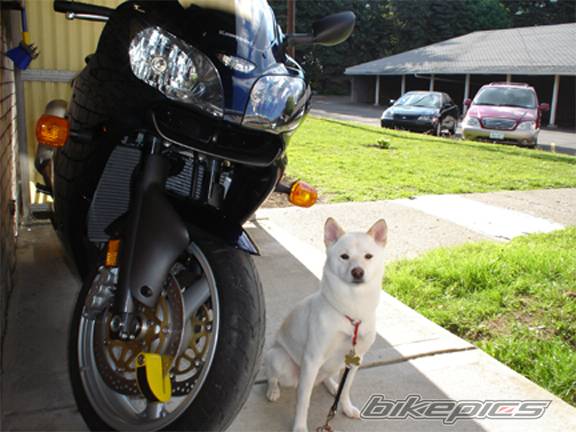 Photo 486376