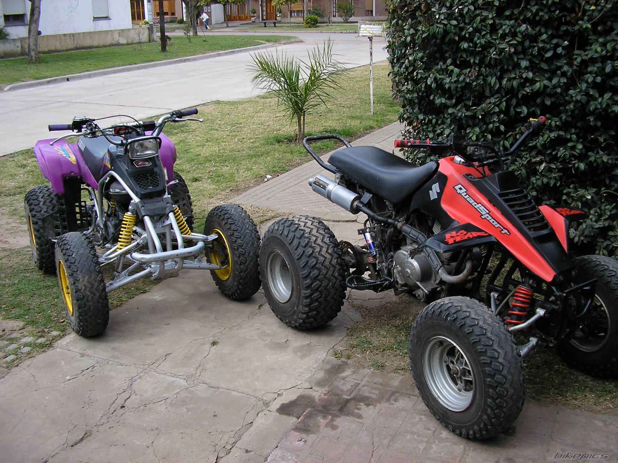 Photo 486398
