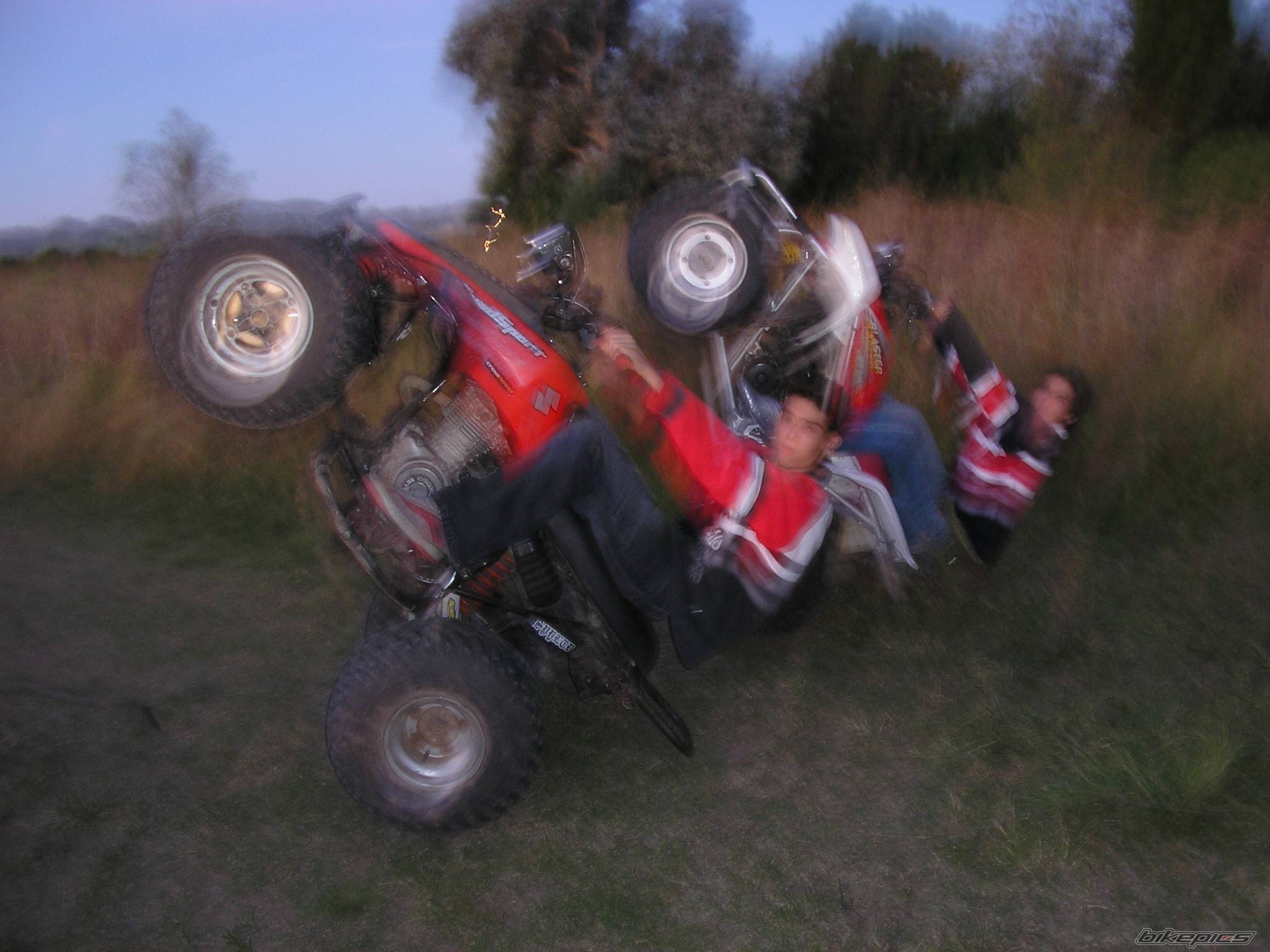 Photo 486402