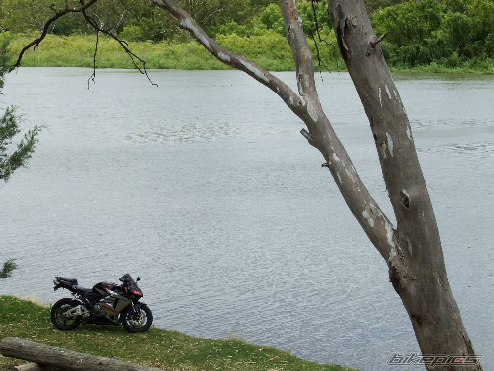 Bike Photo 486407